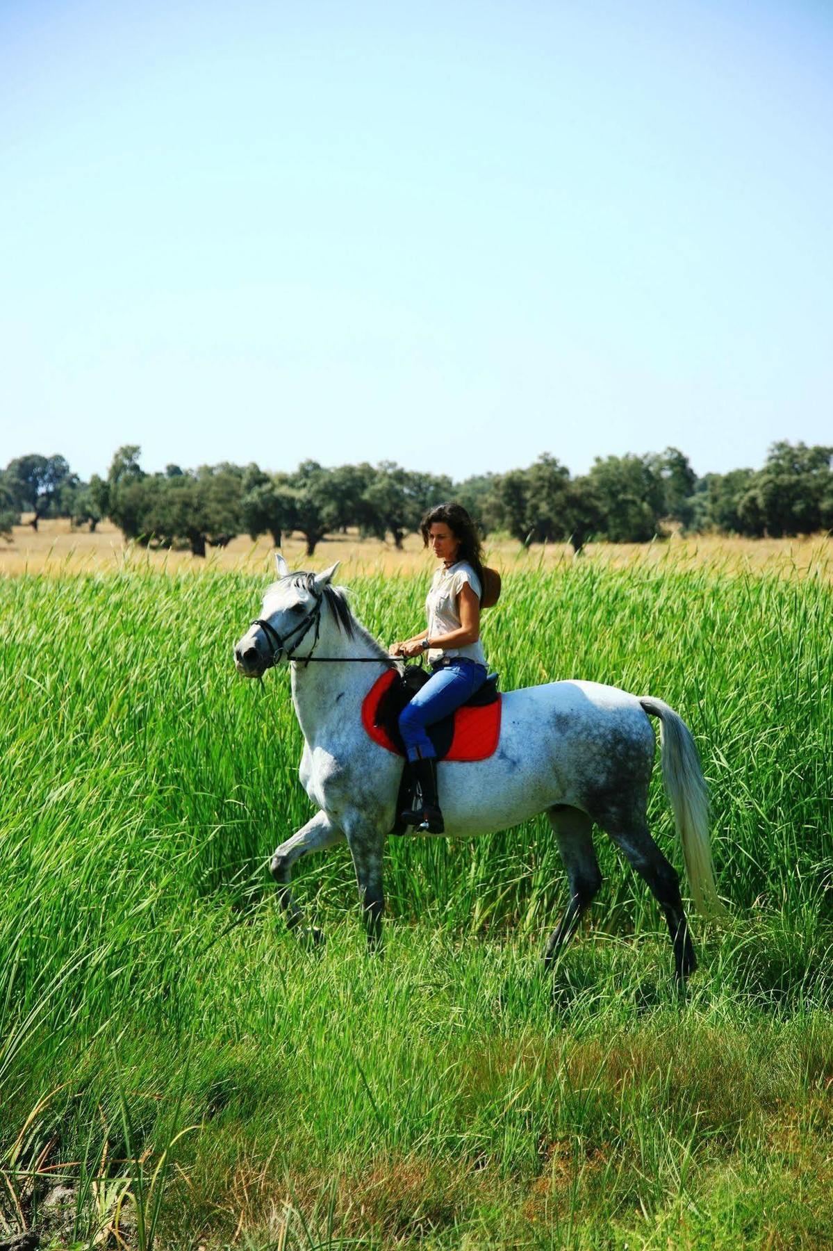 Hotel Valdepalacios Gourmand 5* Gl Torrico Dış mekan fotoğraf